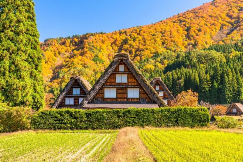 From Toyama: Private Day Tour to Shirakawago & Takayama - Self-guided Tour of Takayama Attractions