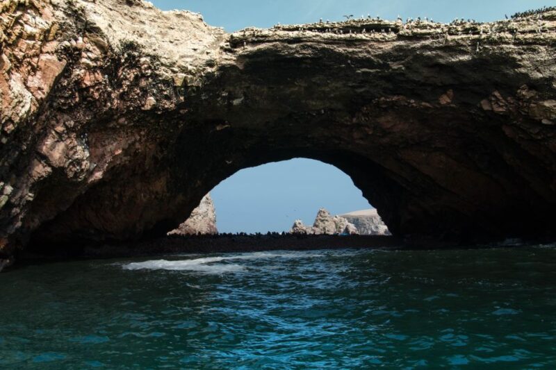 From TPP Paracas: Islands Tours & Paracas Natural Reserve - Inclusions and Services