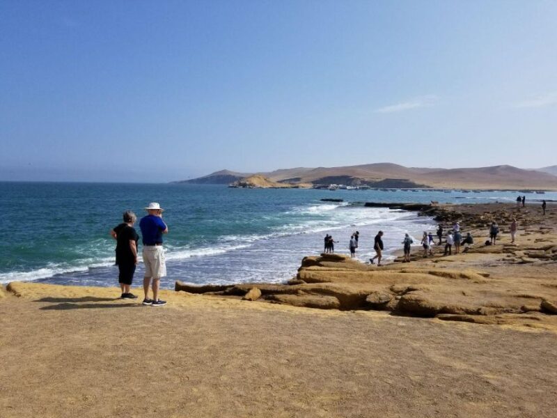 From TPP Paracas: Islands Tours & Paracas Natural Reserve - Highlights and Experience