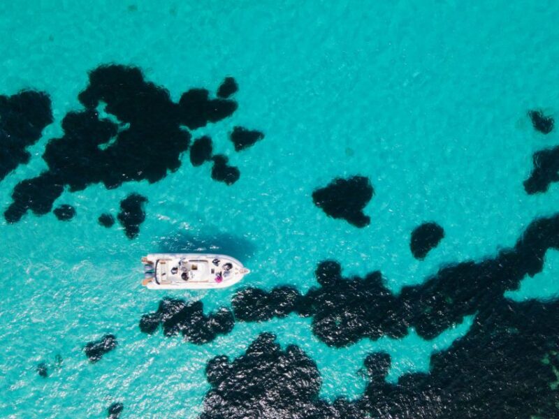 From Trapani: Egadi Islands Favignana & Levanzo Cruise - Swimming and Snorkeling