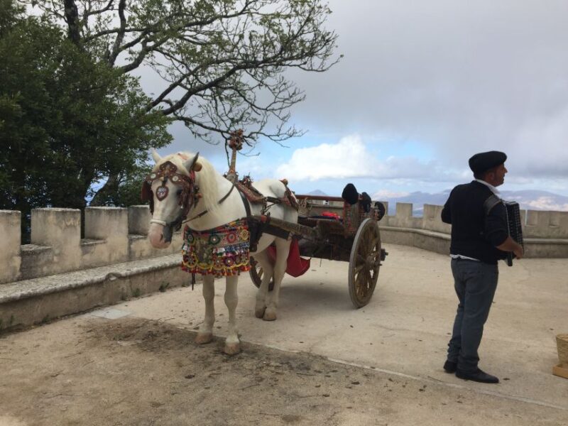 From Trapani: Erice Walking Tour and Local Products Tasting - Customer Feedback