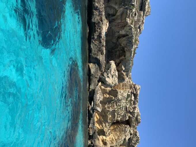 From Trapani: Favignana and Levanzo Full Day Cruise - Important Information and Reviews