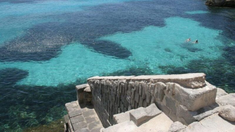 From Trapani: Favignana and Levanzo Shuttle Tour - Overview of the Tour
