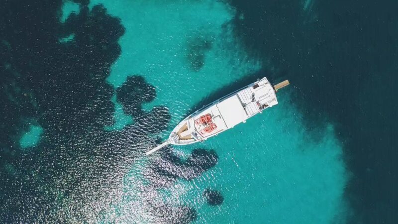 From Trapani: Favignana and Levanzo Shuttle Tour - Accessibility Features