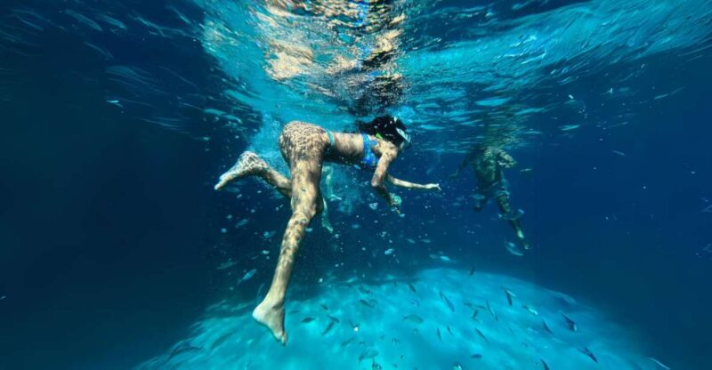 From Trapani: Favignana & Levanzo Luxury Private Boat Trip - Onboard Experience and Amenities