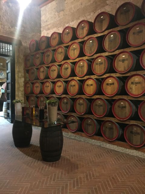 From Trapani: Salt Road Tour With Winery Visit and Boat Trip - Boat Trip and Marine Life