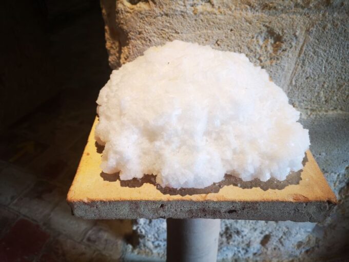 From Trapani: Salt Road Tour With Winery Visit and Boat Trip - Meeting Point and Additional Details