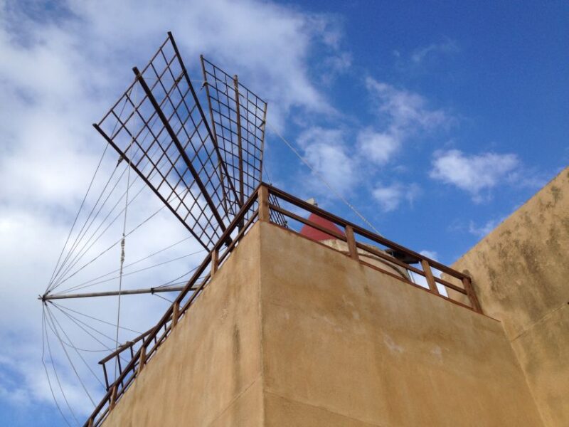 From Trapani: Stagnone Islands of Marsala and Salt Pans - Highlights and Included Activities