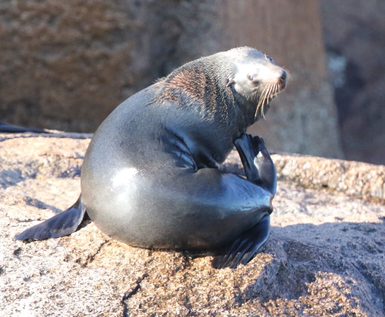 From Triabunna: Maria Island Cruise & Guided Walk With Lunch - Key Points