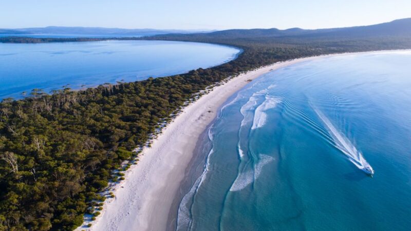 From Triabunna: Maria Island Cruise & Guided Walk With Lunch - Inclusions