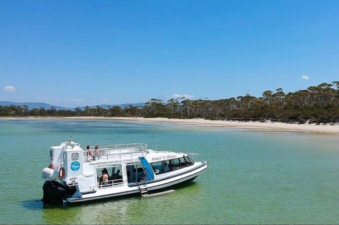From Triabunna: Maria Island Cruise & Guided Walk With Lunch - Wildlife Viewing Opportunities