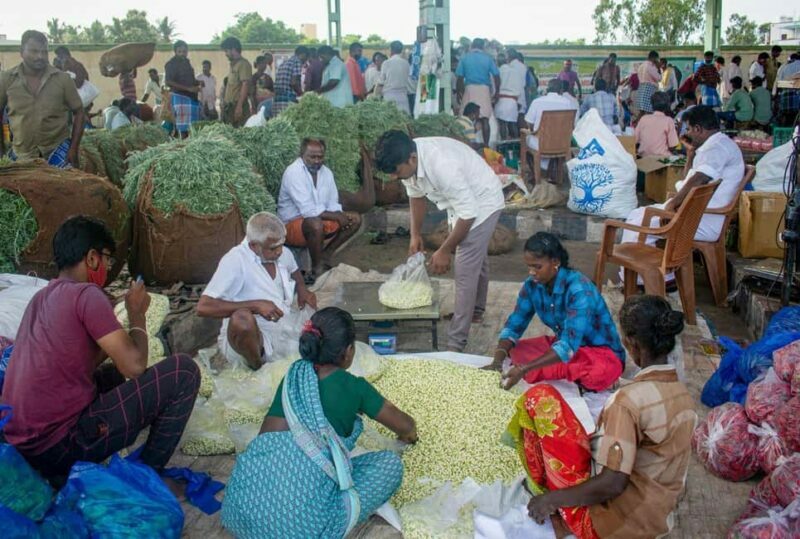 From Trichy : A Private Car and Driver tour to Madurai - The Journey Begins: From Trichy to Madurai