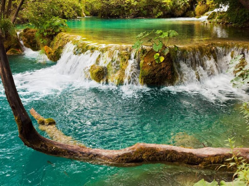 From Trogir, Seget & Okrug: Krka Waterfalls & Boat Ride - Highlights and Activities