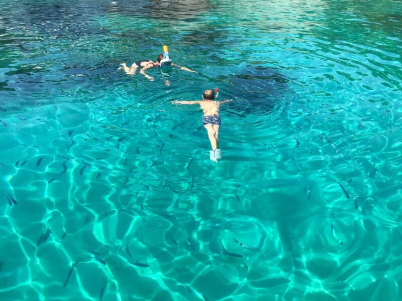 From Trogir: Three Islands Half-Day Speedboat Tour - Participant Suitability