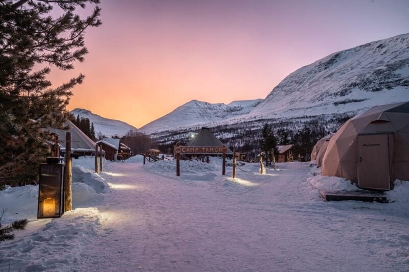 From Tromsø: Advanced Dog Sledding Tour at Camp Tamok - Roles and Responsibilities