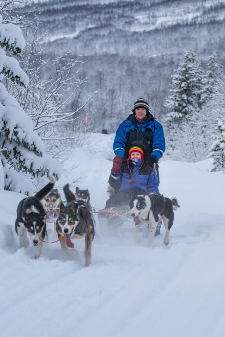 From Tromsø: Advanced Dog Sledding Tour at Camp Tamok - Customer Feedback