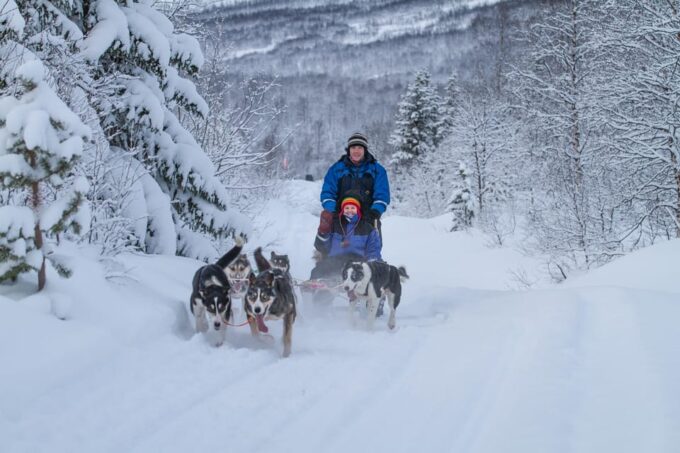 From Tromsø: Advanced Dog Sledding Tour at Camp Tamok - Tour Details