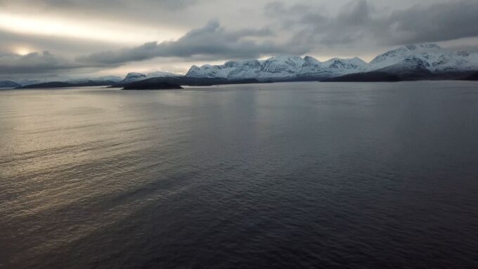 From Tromsø: All-Inclusive Whale and Sea Bird Boat Cruise - Guided Tour and Local Expertise