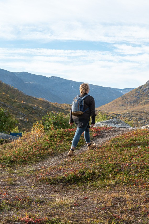 From Tromsø: Arctic Roadtrip Small Group 4x4 Van - Booking Information