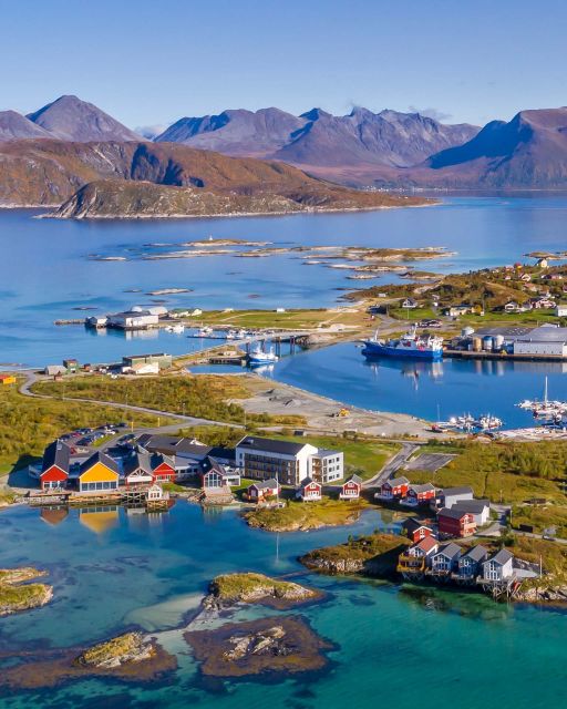 From Tromsø: Arctic Wildlife & Fjord Sightseeing Tour by Car - Customer Feedback and Ratings