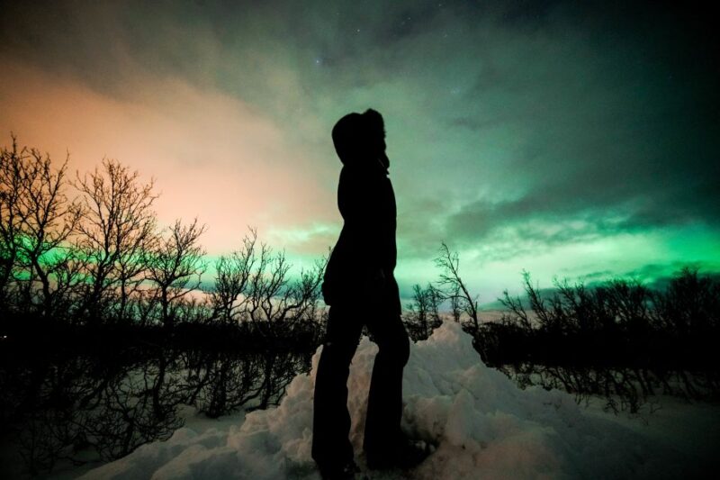 From Tromsø: Aurora Borealis Tour - Experience and Highlights