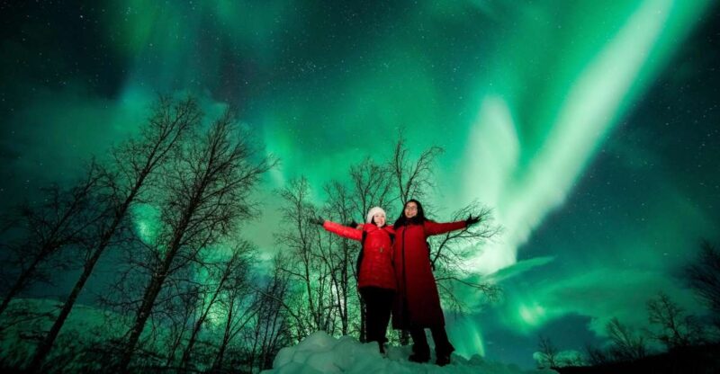 From Tromsø: Aurora Borealis Tour - Important Information