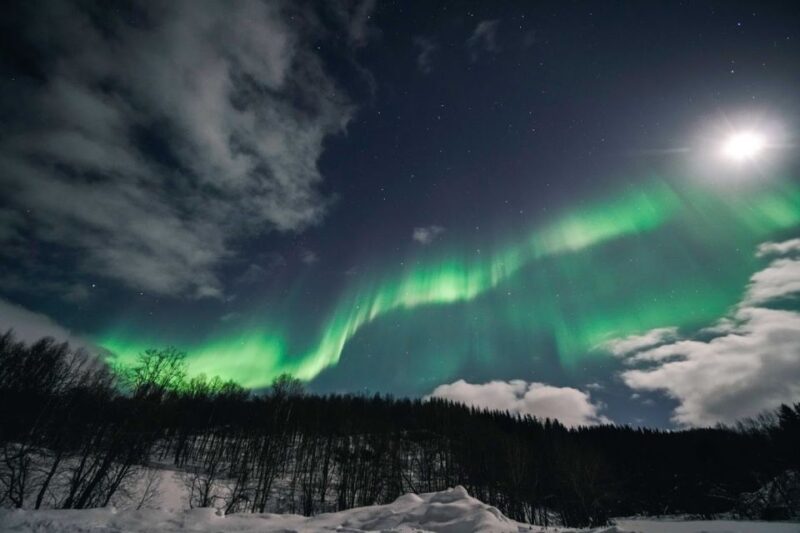 From Tromsø: Aurora Borealis Tour - Customer Feedback and Ratings