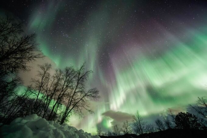From Tromsø: Aurora Borealis Tour - Booking and Reservations