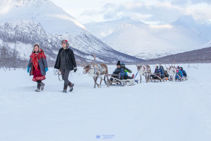 From Tromsø: Daytime Reindeer Sledding at Camp Tamok - Itinerary Details