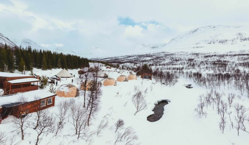 From Tromsø: Daytime Reindeer Sledding at Camp Tamok - Transportation Arrangements