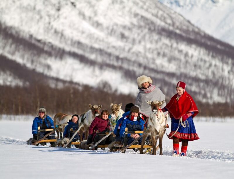 From Tromsø: Daytime Reindeer Sledding at Camp Tamok - Guided Reindeer Sledding