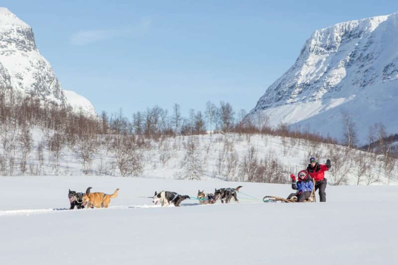 From Tromsø: Dog Sledding Adventure in Tamokdalen - Suitability and Difficulty
