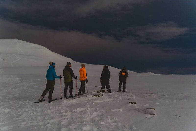 From Tromsø: Evening Fjellheisen Snowshoe Hike and Cable Car - Key Points