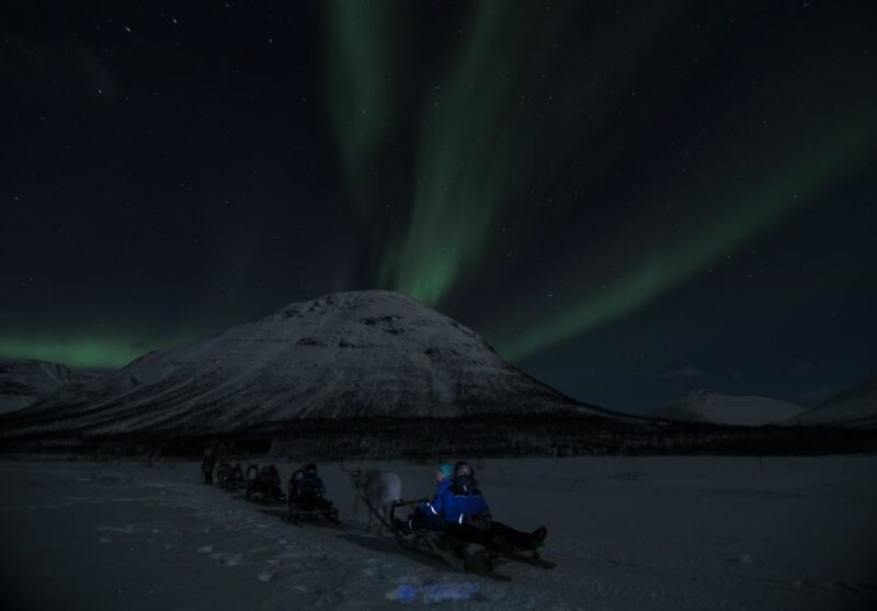 From Tromsø: Evening Reindeer Sledding at Camp Tamok - Key Points