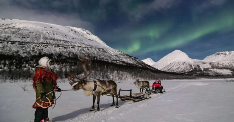 From Tromsø: Evening Reindeer Sledding at Camp Tamok - Itinerary and Transportation