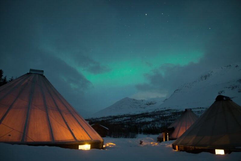 From Tromsø: Evening Reindeer Sledding at Camp Tamok - Sami Cultural Experience
