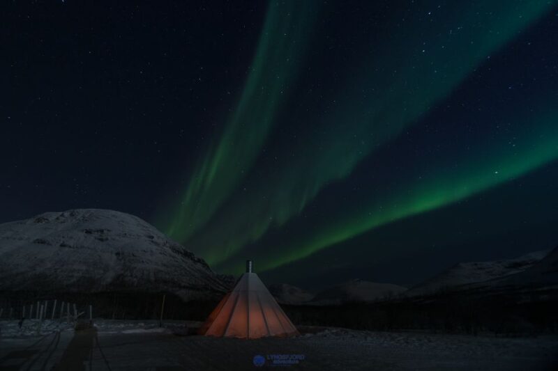 From Tromsø: Evening Reindeer Sledding at Camp Tamok - Customer Feedback and Ratings