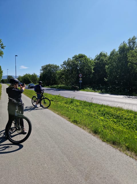 From Tromsø: Fjord Sightseeing With E-Bike - Included in the Tour