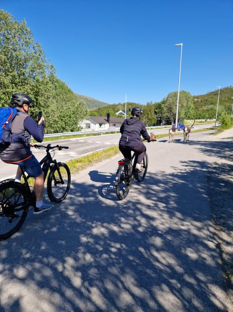 From Tromsø: Fjord Sightseeing With E-Bike - Important Information