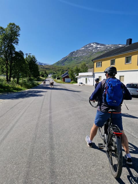 From Tromsø: Fjord Sightseeing With E-Bike - Frequently Asked Questions