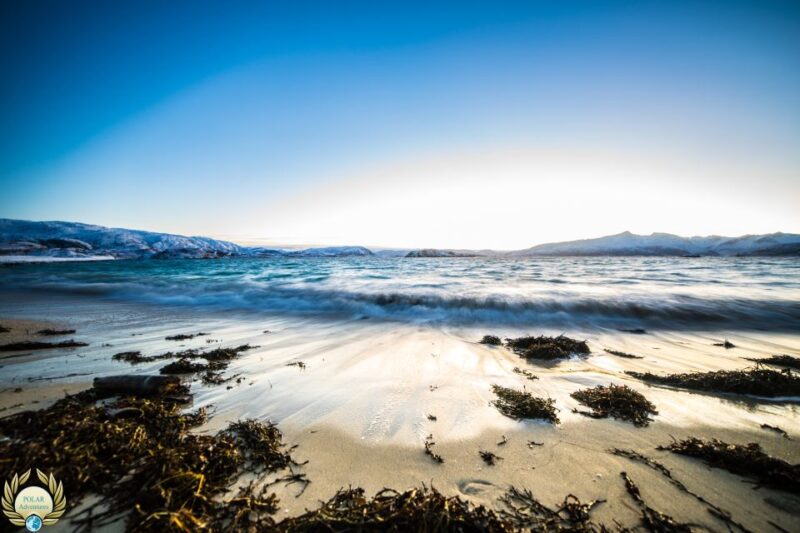 From Tromsø: Fjords Small Group Bus Tour - Customer Reviews and Ratings