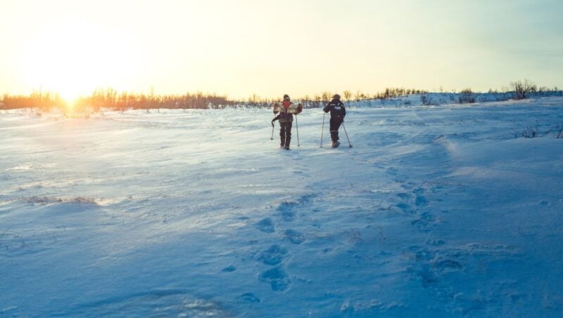 From Tromsø: Guided Husky Snowshoe Hike and Husky Camp Visit - Discovering the Husky Wonderland