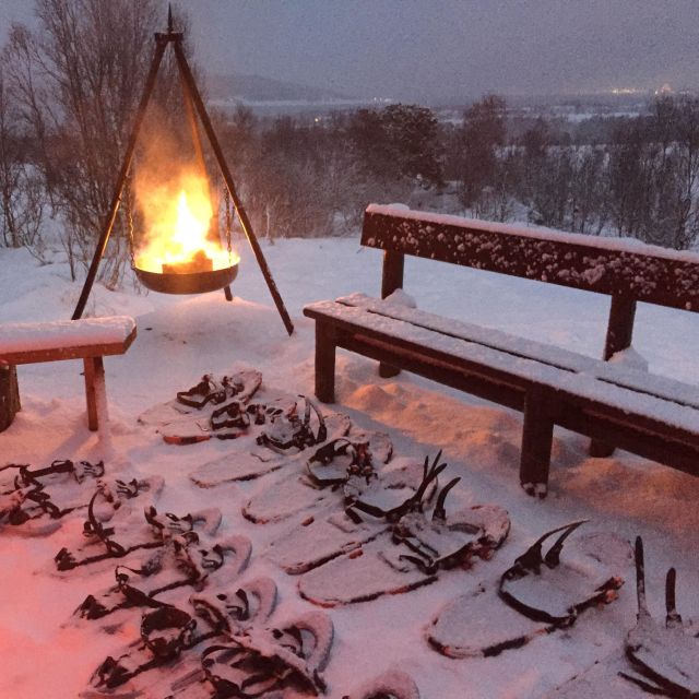 From Tromsø: Guided Husky Snowshoe Hike and Husky Camp Visit - Breathtaking Mountain Landscapes