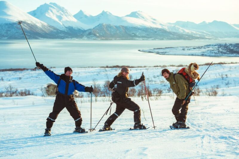 From Tromsø: Guided Husky Snowshoe Hike and Husky Camp Visit - Homemade Treats on the Trail