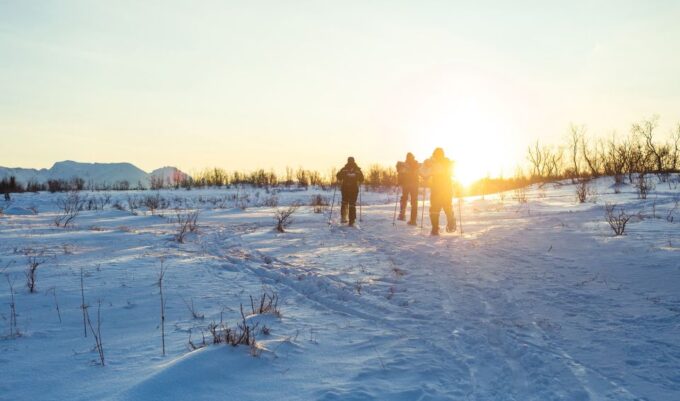 From Tromsø: Guided Husky Snowshoe Hike and Husky Camp Visit - Age and Health Restrictions