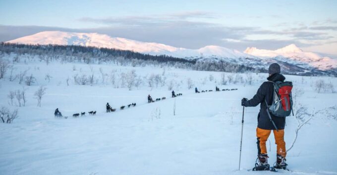 From Tromsø: Guided Husky Snowshoe Hike and Husky Camp Visit - Excellent Customer Feedback