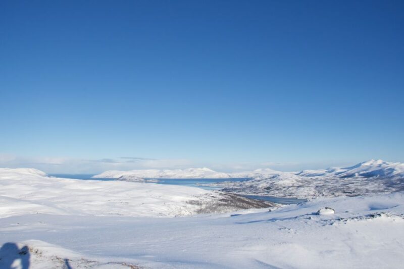 From Tromsø: Guided Snowshoe Hike With Cafe Visit - Experience Highlights