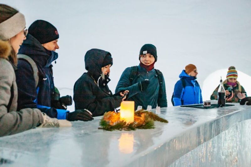From Tromsø: Ice Domes Snow Park and Wilderness Experience - Key Points