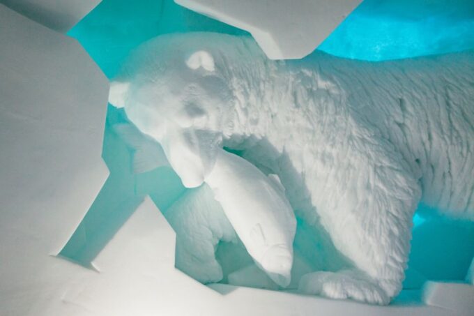From Tromsø: Ice Domes Snow Park and Wilderness Experience - Recap