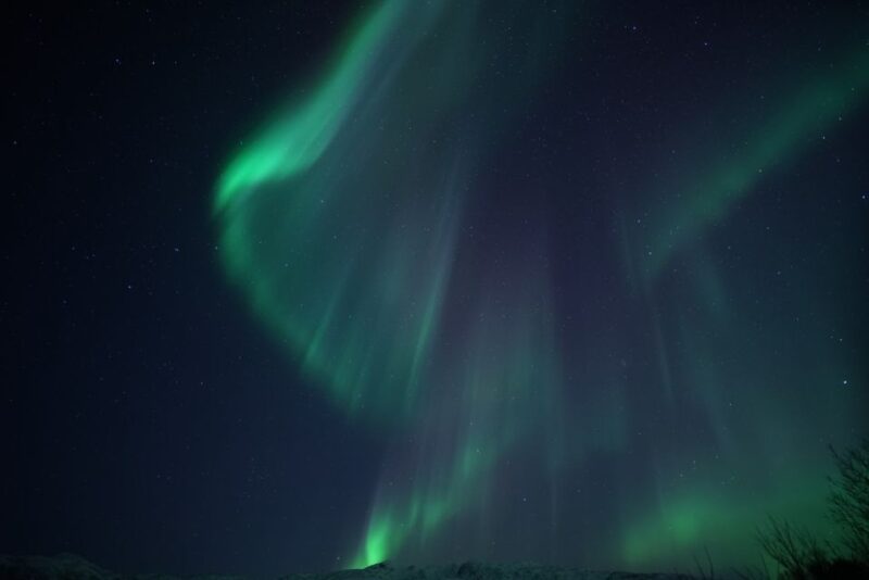 From Tromsø: Northern Lights Chase by Boat - Recap